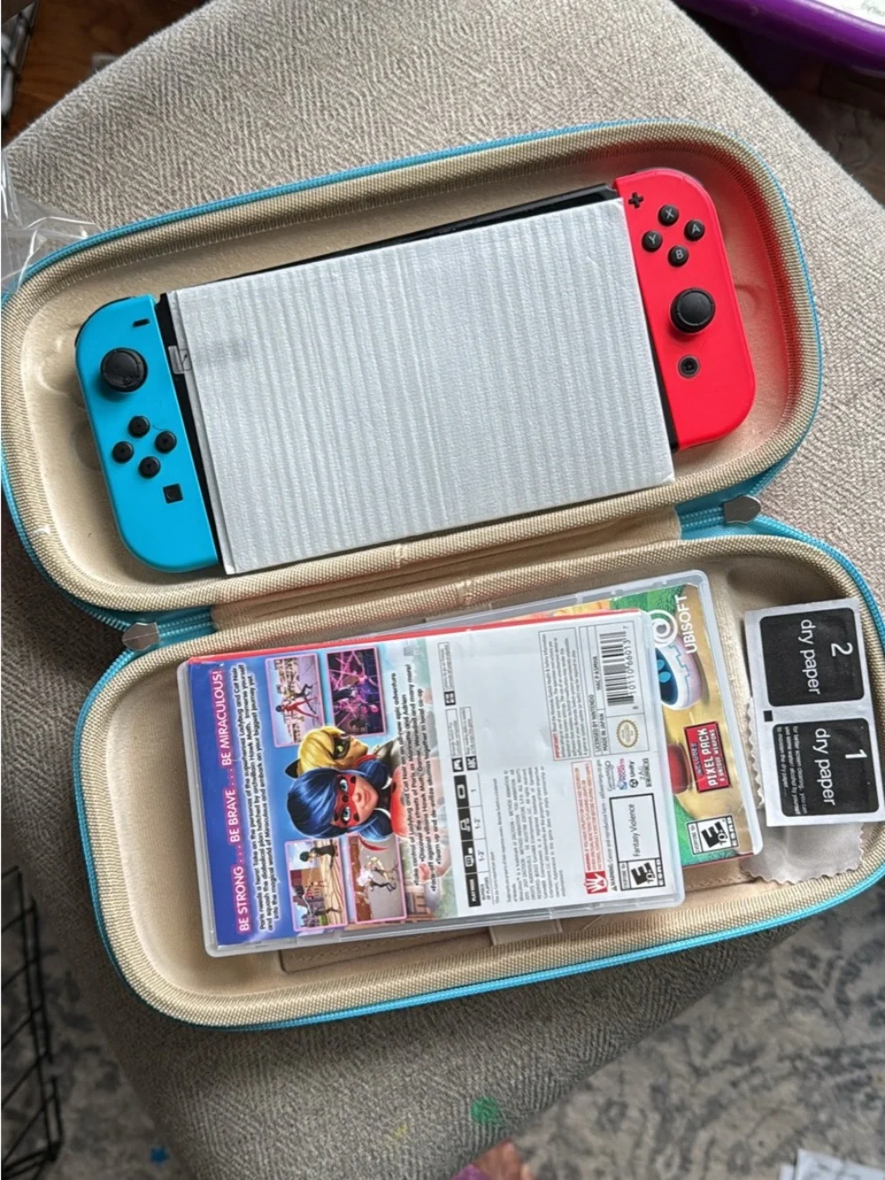 Nintendo portable switch